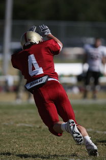 爱游戏体育-NBA球队人员调整对战术执行连续性的干扰分析,nba2konline球队战术