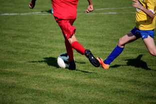 爱游戏体育在线-世界台球联赛中国队勇夺团体亚军,世界台球联赛中国队勇夺团体亚军是谁