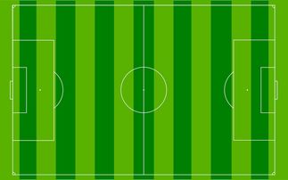 爱游戏体育在线app-国足主场比赛战术布置与得分模型关联，国足阵容战术