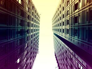 爱爱游戏-埃及队未来:借鉴世界先进经验,完善本土发展体系,埃及国家队阵容状况