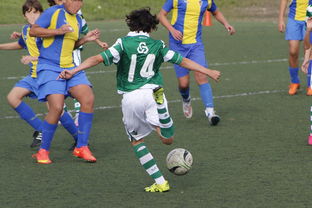 爱游戏中国官方登录入口网站-足球战术多样化提升比赛精彩度,足球比赛技战术的运用和分析